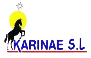 KARINAE SL Logo